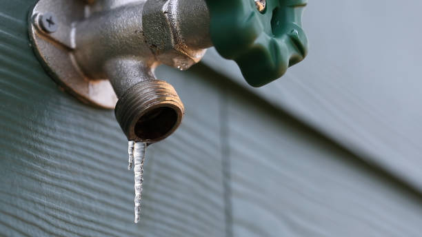 Best Leak Detection Services  in Kaser, NY